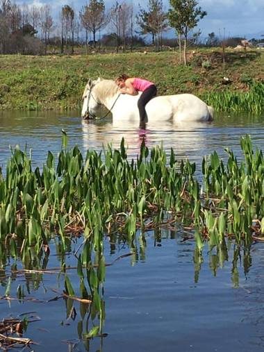 T'Niqua Stables & Lodge