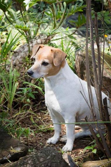 De Zoete Rust Guesthouse