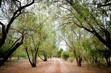 Little Swift Chalets