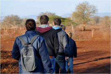 AfriCamps at White Elephant Safaris