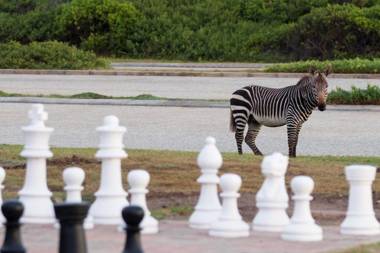 Gourikwa Nature Reserve