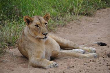 Chikunto Safari Lodge