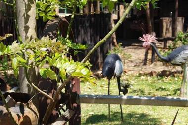 Regency Lodge Panyanda