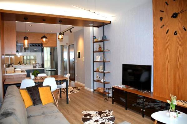 Central Luxury Apartment