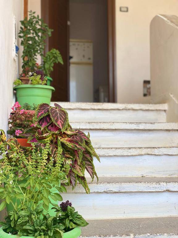 88 Apartment Himare