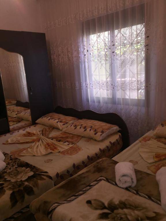 Apartment Tafilaj