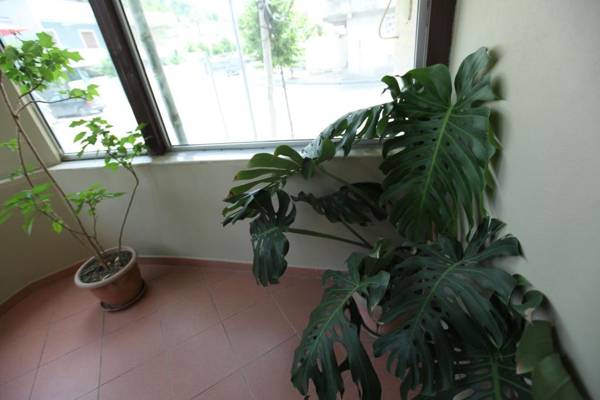 Hotel Colosseo