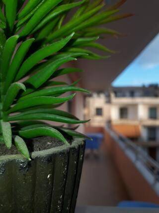 Smartly priced apartment near the beach