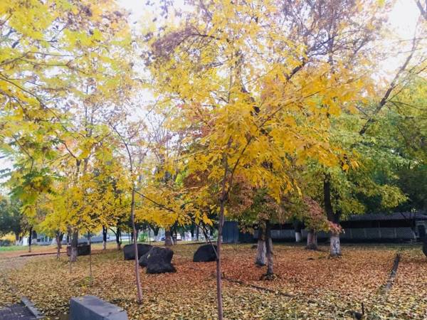 Karson Guest House and Tours