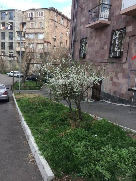 Apartment in the center of Yerevan