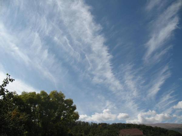 Apartment Tsaghkadzor