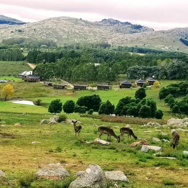 Cabañas Valle de los Ciervos