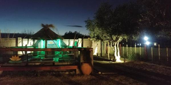 Nelumbo Petit Chalet