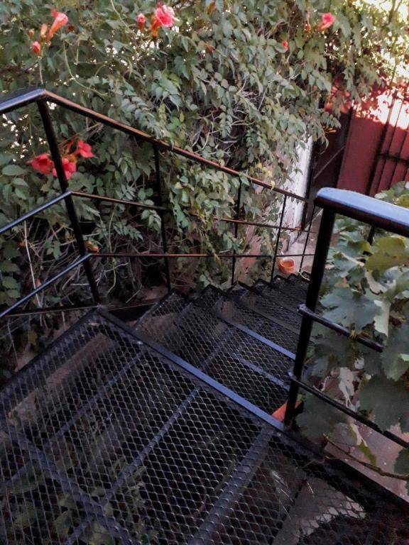 Departamento Los Sauces