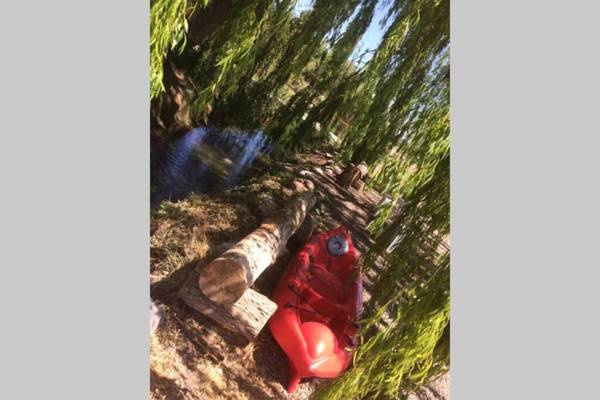 cabaña Claro de Luz en finca Margarita