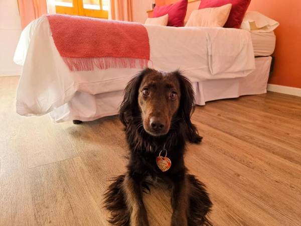 Hosteria Las Lucarnas