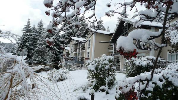 Aldea Andina Hotel&Spa