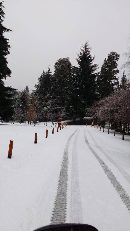 Cabaña con costa de lago