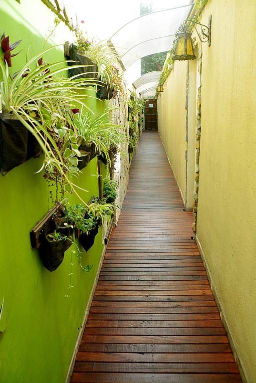 Garden Loft