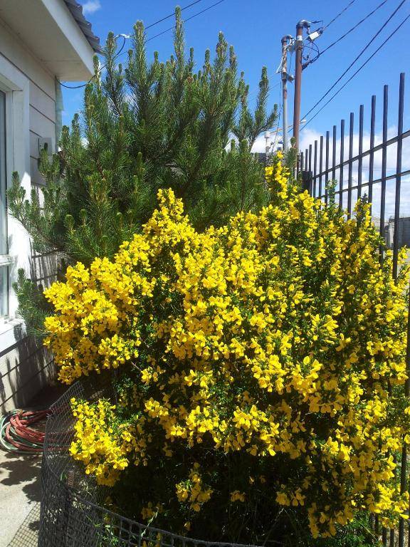 LA CASA DE LAS RETAMAS