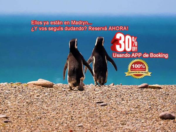 Casa Premium Equipada Completa