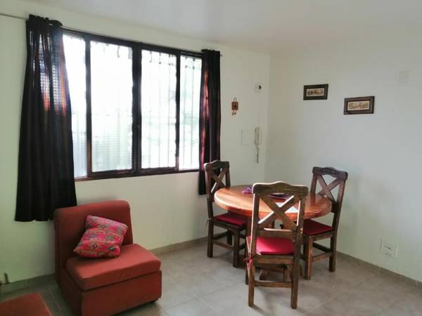 Luminoso Departamento Mendoza