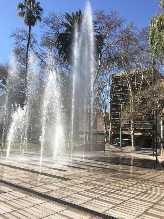 Chardonnay UVAS departamentos