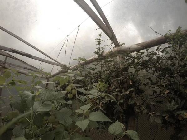 Yasí Yateré Reserva Agroecológica