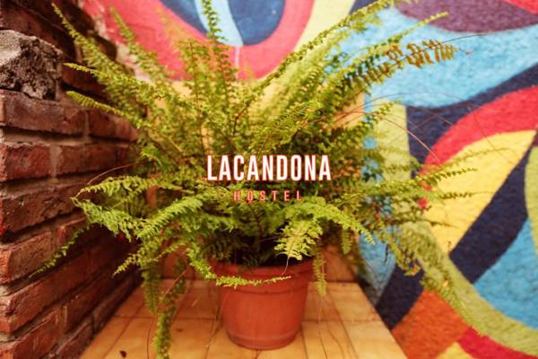 Lacandona Hostel