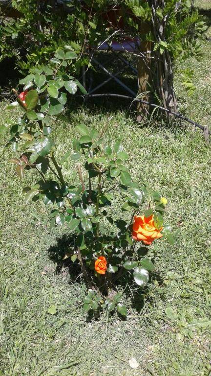 Mena House en Recoleta 3 Bed 2 Bath - Piso Alto