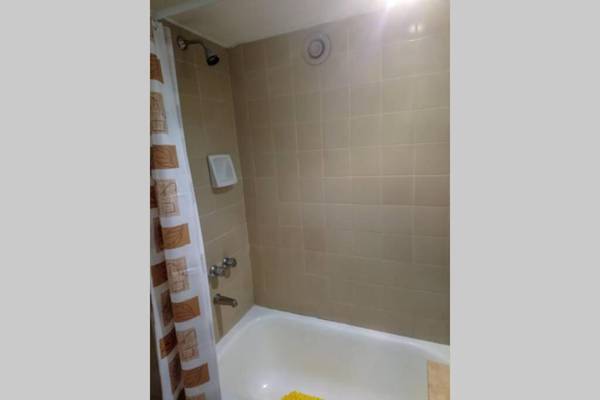 Avenida Corrientes Obelisco Cultura y Confort