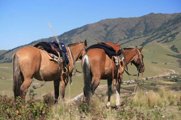 Estancia Las Carreras