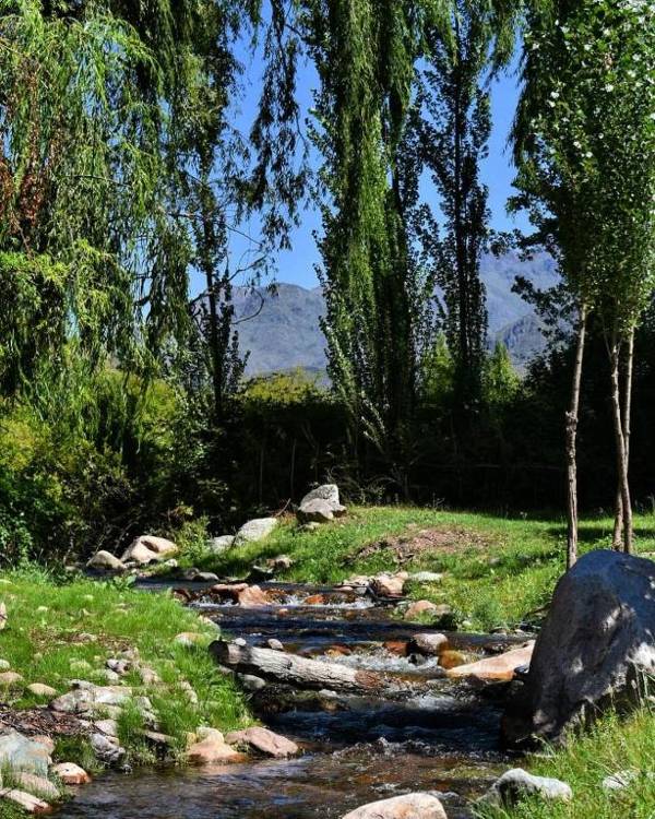 Ayres de Uco Lodge & Wine Lovers