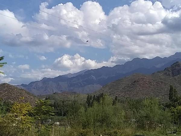 CABAÑA.Manzano histórico. Paz y montaña