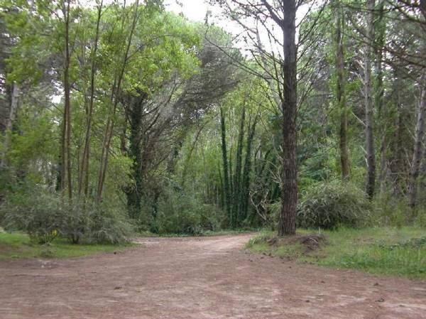 Loft Hadas del Bosque