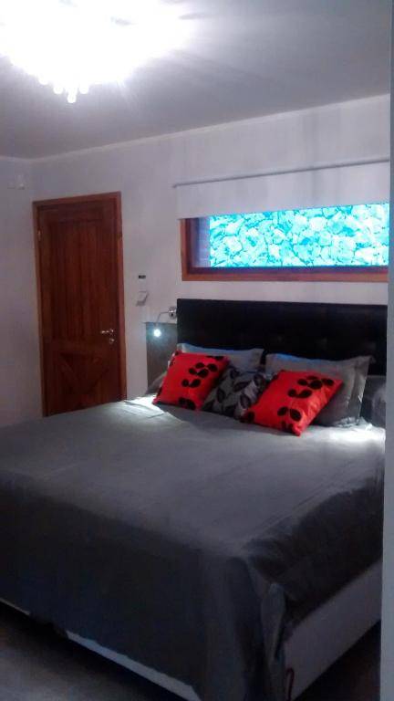 Escondida en el Bosque