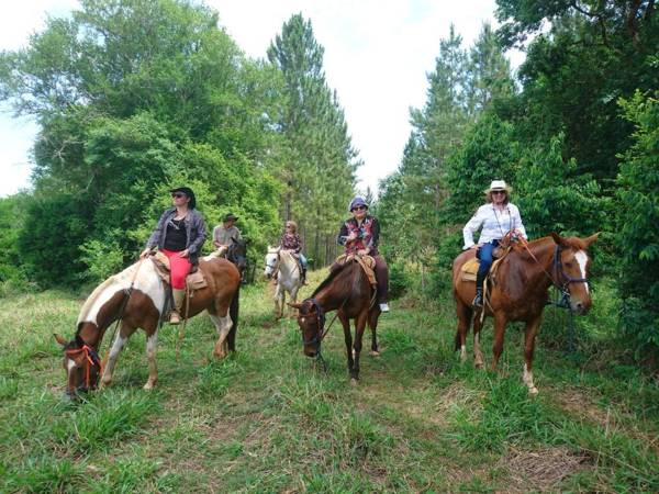 Estancia las Mercedes