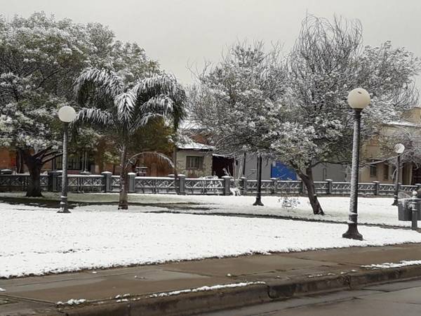 Posada Flor y Nata