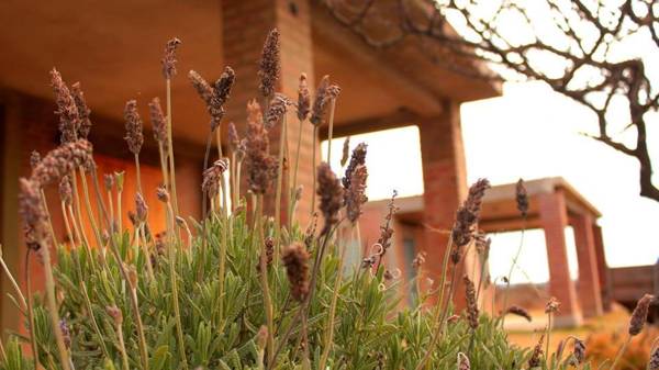 Cabañas El Descanso