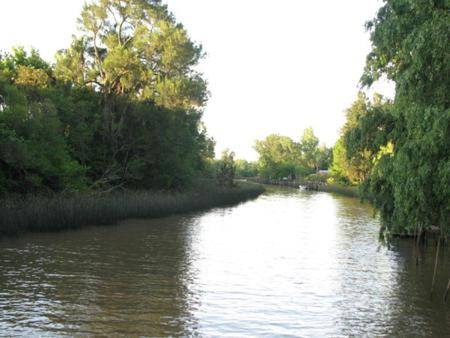 Cabañas Bocas del Tigre