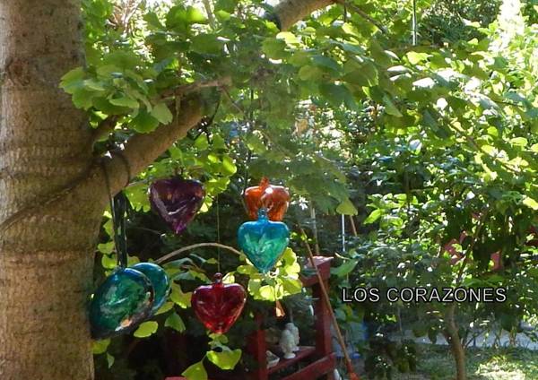 Los Colibries Tigre Centro