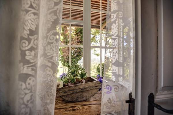 Winzarei Weingut Tement