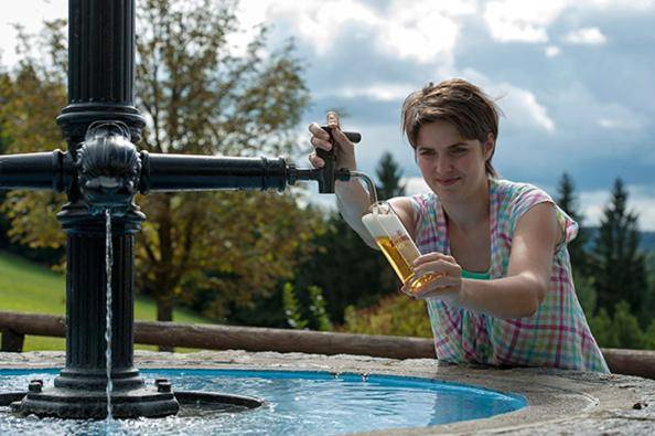 Hotel Schwarz Alm Zwettl