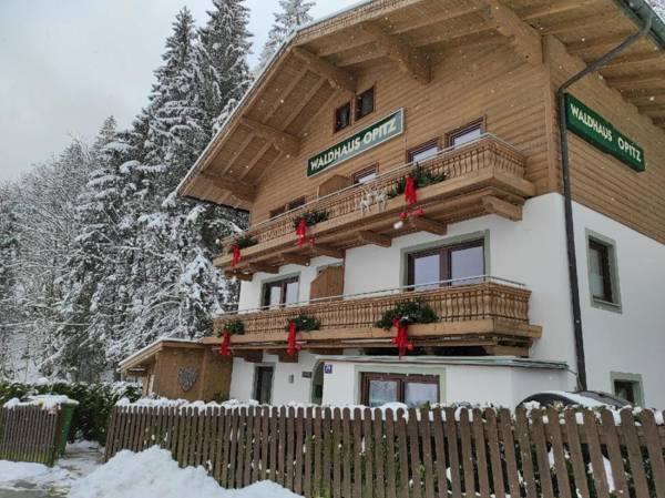 Apartment Waldhaus Opitz