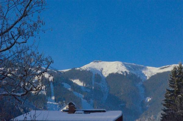 Villa Alpenbach by Alpen Apartments