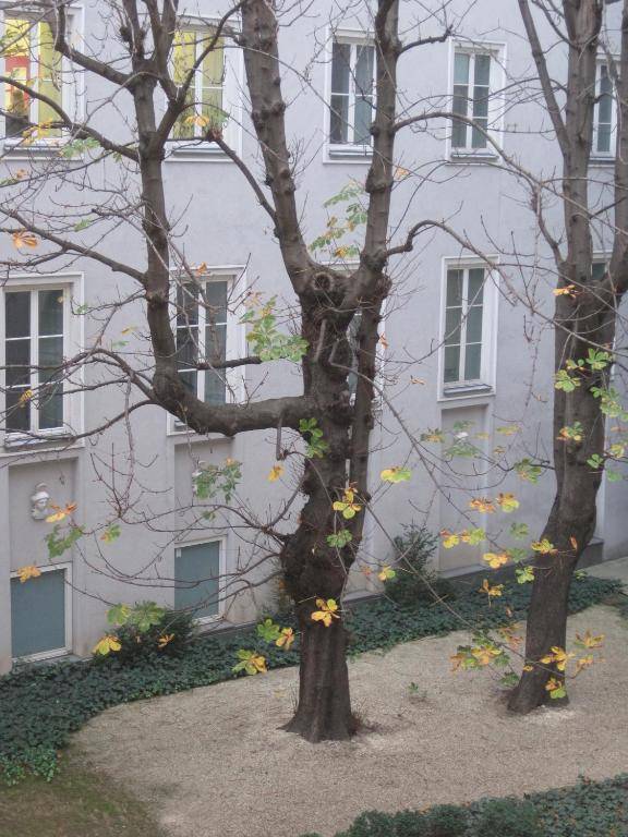 Benediktushaus im Schottenstift