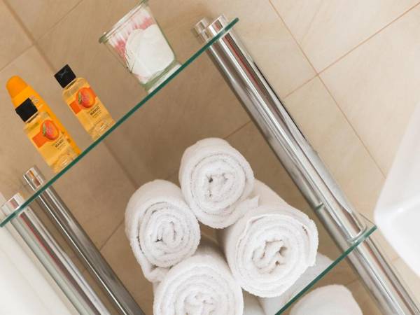 Vienna Apartment 1010