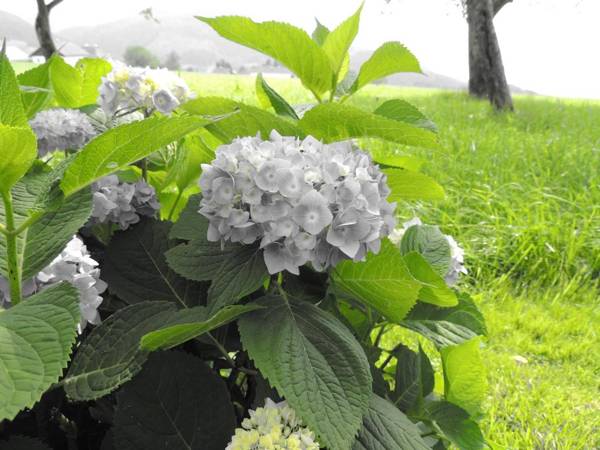 Ferienwohnungen Schöbringer