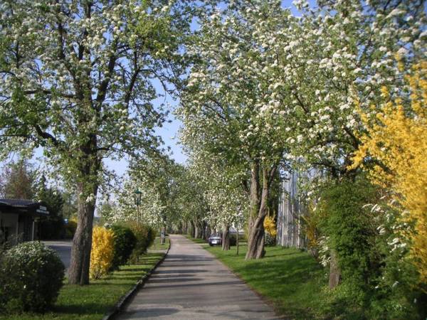 Ferien-Garconniere Hemetsberger