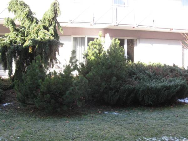 Holiday Apartments Warmbad